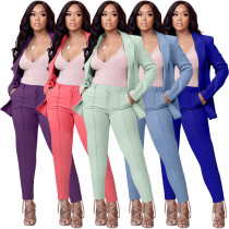 Kadın Düz Renk Devirme Yaka Blazer ve Pantolon İki Parçalı Takım