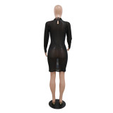 Durchsichtiges, figurbetontes Kleid mit halben Rollkragen und langen Ärmeln und Pailletten