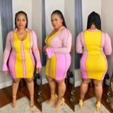 Plus Size Women's Turndown Collar Color Block Ribbed Slim Dress