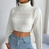 Fall/Winter Women'S Casual Twist Long Sleeve Turtleneck Crop Knitting Sweater