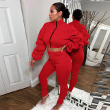 Women's Casual Solid Color Zip Long Sleeve Loose Two Piece Pants set