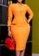 Women's Fall Winter Chic Career Office Pencil Dress