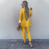 Spring Autumn Women's Solid Chic Suit Two Piece Fashion Casual Pants Set