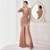 Plus Size Beauty Costume Long Sequin Formal Party Evening Dress