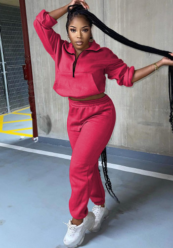 Herbst Winter Damen Einfarbig Reißverschluss Trainingsanzug Mode Lässig Zweiteiliges Hosenset