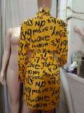 Fall Women's Chic Print Cardigan Turndown Collar Loose Shirt Dress