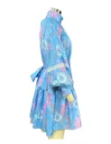 Spring Autumn Women's Fashion Chic Long Sleeve High Neck Swing Print Dress