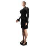 Trendy See-Through Beaded Sequined Long Sleeve Feather Nightclub Party Bodycon Dress