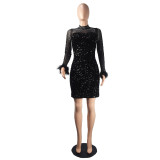 Trendy See-Through Beaded Sequined Long Sleeve Feather Nightclub Party Bodycon Dress
