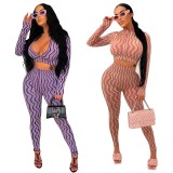 Women Winter V-Neck Print Long Sleeve Zip Crop Top and Pant Two Piece Set