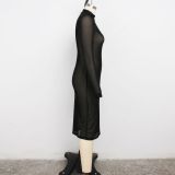 Women Sexy Long Sleeve Mesh Bodycon Dress