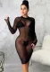 Women Sexy Long Sleeve Mesh Bodycon Dress