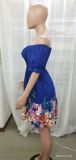 Short Sleeve Off Shoulder Slim Waist Pleated Print Dress