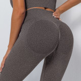 Seamless knitting Ribbed peach hip v waist yoga pants High Stretch sports running fitness wear