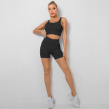 Seamless knitting Ribbed Peach Shorts Yoga Wear Set Sports Running Fitness Wear Two Piece Women