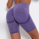 High Waist Butt Lift Sports Shorts Tight Fitting Gym Pants Quick Dry Training Running Yoga Pants