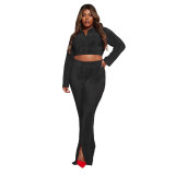 WomenCasual Pleated Long Sleeve Crop Top And Split Pant Two Piece