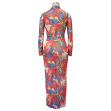 Women Autumn V-Neck Long Sleeve Print Dress