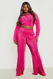 WomenCasual Pleated Long Sleeve Crop Top And Split Pant Two Piece