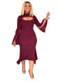 women's autumn solid color long sleeve dress