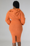 women's long sleeve solid color autumn dress