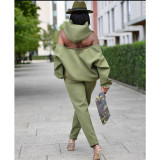 Plus Size Fall Winter Long Sleeve Solid Hoodies Sweater Casual Suit