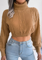 Wind Fall Winter Casual Twist Long Sleeve Turtleneck Crop Knitting Sweater