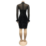 Women's Fashion Beaded See-Through Long Sleeve Feather Dress
