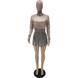 Women Long Sleeve Top and Print Pleated Skirt Two Piece