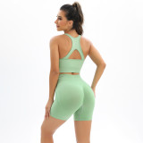 Women Seamless Tank Top and Shorts Yoga Fitness Two Piece