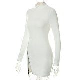 Women's Fall Solid Casual High Neck Zip Long Sleeve Slim High Waist Short Dress