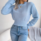 Fall/Winter Street Style Twist Long Sleeve Crop Knitting Sweater