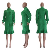 Women Solid Turtleneck Ruffle Dress