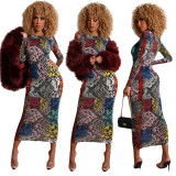 Women Autumn Winter Long Sleeve Tight Fitting Sexy Leopard Multicolor Print Long Dress