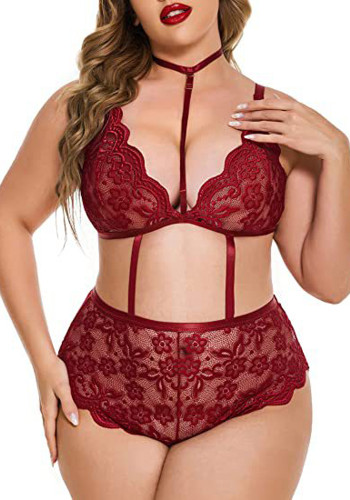 Erotic Lingerie Sexy Women Plus Size Lace Bra Set