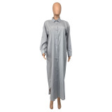 Women Spring Grey Modest Turn-down Collar Full Sleeves Solid X-Long Blouse