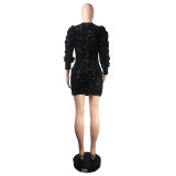 Fashion Bodycon Sequin Winter Club Party Long Sleeve Dress