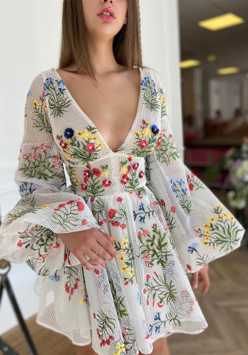 Mesh borduurwerk Sexy schattige mini-jurk met lantaarnmouwen
