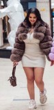Cropped Coat Fashionable Faux Fur Coat Women Stand Collar Long Sleeves