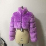 Cropped Coat Fashionable Faux Fur Coat Women Stand Collar Long Sleeves