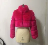 Cropped Coat Fashionable Faux Fur Coat Women Stand Collar Long Sleeves