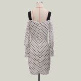 Women Polka Dot Long Sleeve Mini Dress
