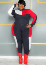 Plus Size Damen Patchwork Stripe Suit Sport Langarm Casual Zweiteiler Hosen Set