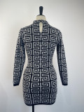Womens Long Sleeve Printed Bodycon Dress