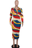 Women Long Sleeve Printed Bodycon Maxi Dress