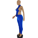 Conjunto de pantalones de dos piezas con espalda baja y cuello halter de color sólido sexy a la moda para mujer