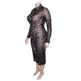 Kadın Modası Bayan Baskılı Örgü Yuvarlak Yaka Uzun Kollu Maxi Büyük Beden Elbise