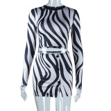 Sonbahar/Kış Zebra Modası Baskılı Crop Top Uzun Kollu Etek Takımı