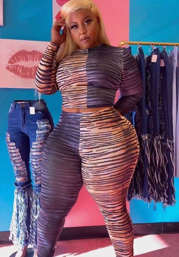 Büyük Beden Kadın Colorblock Leopar Uzun Kollu Üst ve Pantolon İki Parça