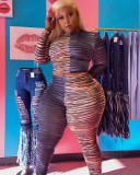 Top y pantalón de dos piezas de manga larga con estampado de leopardo en bloque de color para mujer de talla grande